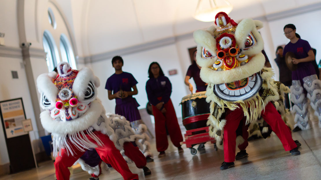 Two people in the Lion Costume performing the Lion Dance in the Museum.