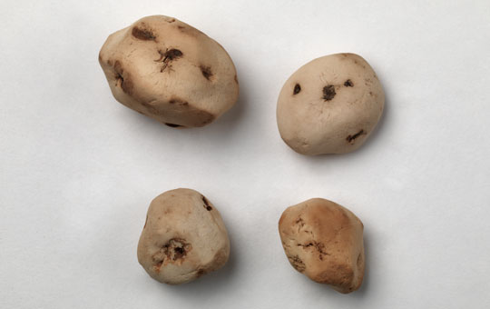 Four small potatoes.